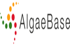 Algae Base