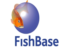 Fish Base