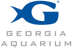 Georgia Aquarium Webcam