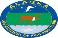 Alaskan Wildlife Cams